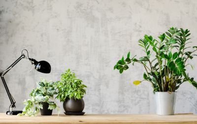Kitchen Wallpaper Installation in Denver, CO